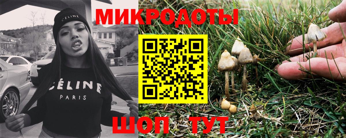 Галлюциногенные грибы мухоморы  Вход с VPN  Галлюциногенные грибы Psilocybe  Жигулёвск 
